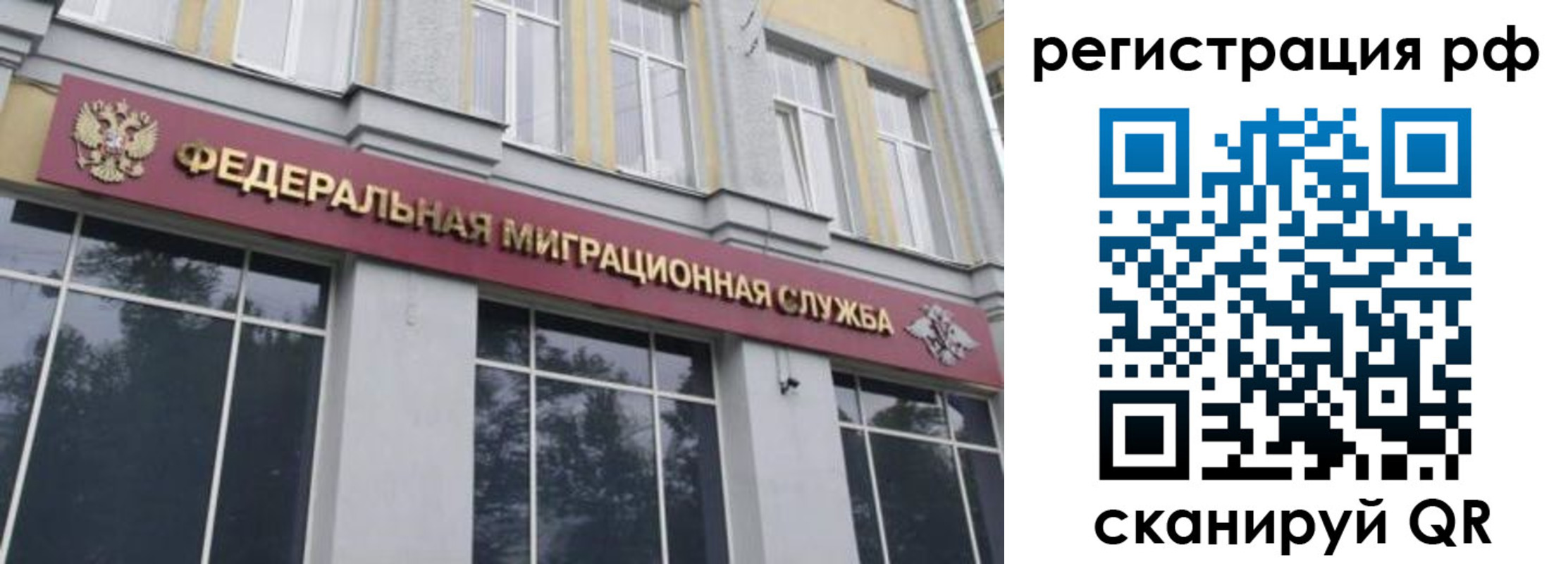 прописка законно в Шумихе